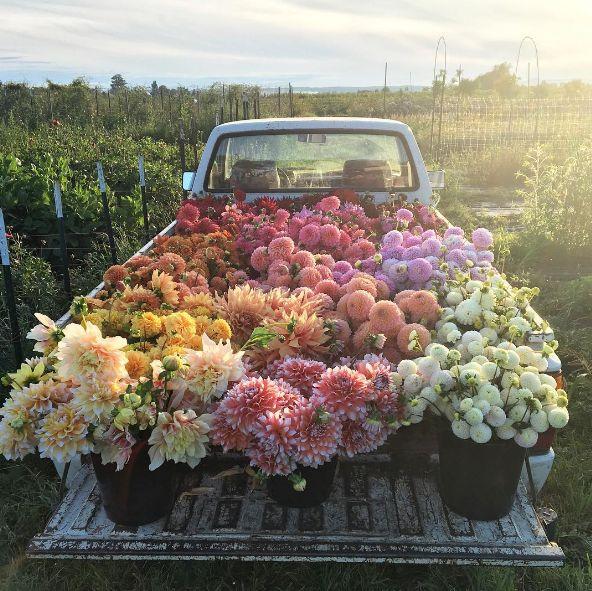 Whisper of Meadow Dreams Bouquet