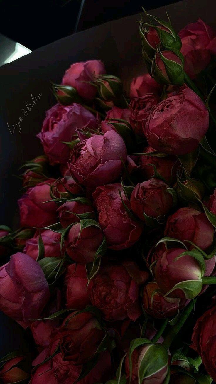Eternal Embrace of Blooming Wonders